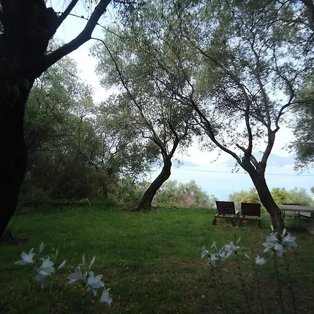 Casa Vacanze Conte Picedi *